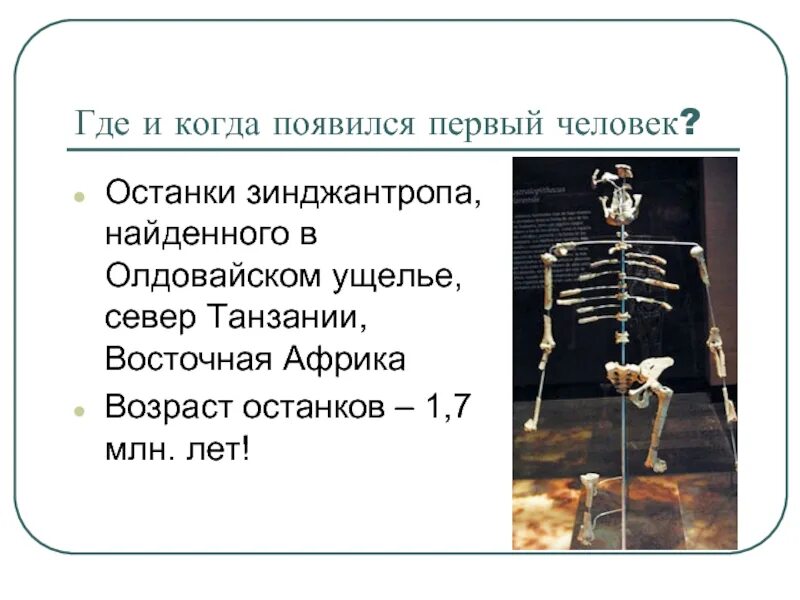 Откуда взялся человек на земле. Когда появился первый человек. Когда и где появился человек. Где появились первые люди. Откуда появилось человечество.