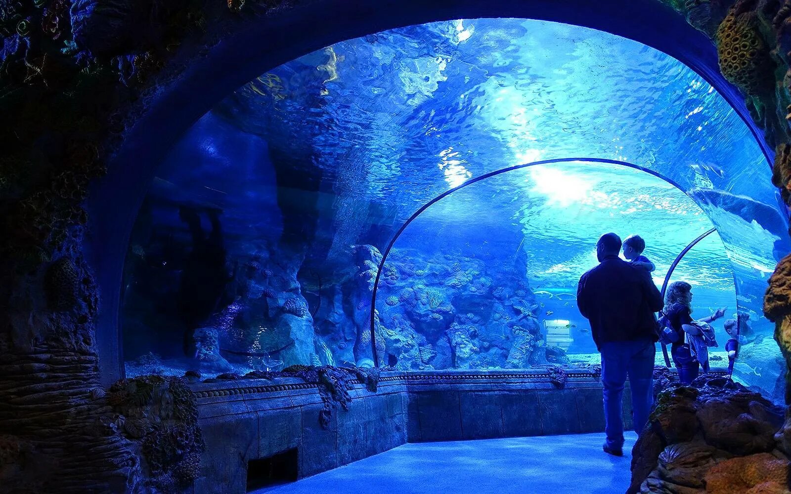 Aquarium перевод. ТРЦ Рио Дмитровское шоссе океанариум. ТЦ Рио Москва океанариум. Москвариум на ВДНХ аквариум. Москва, океанариум в ТРЦ «Рио».