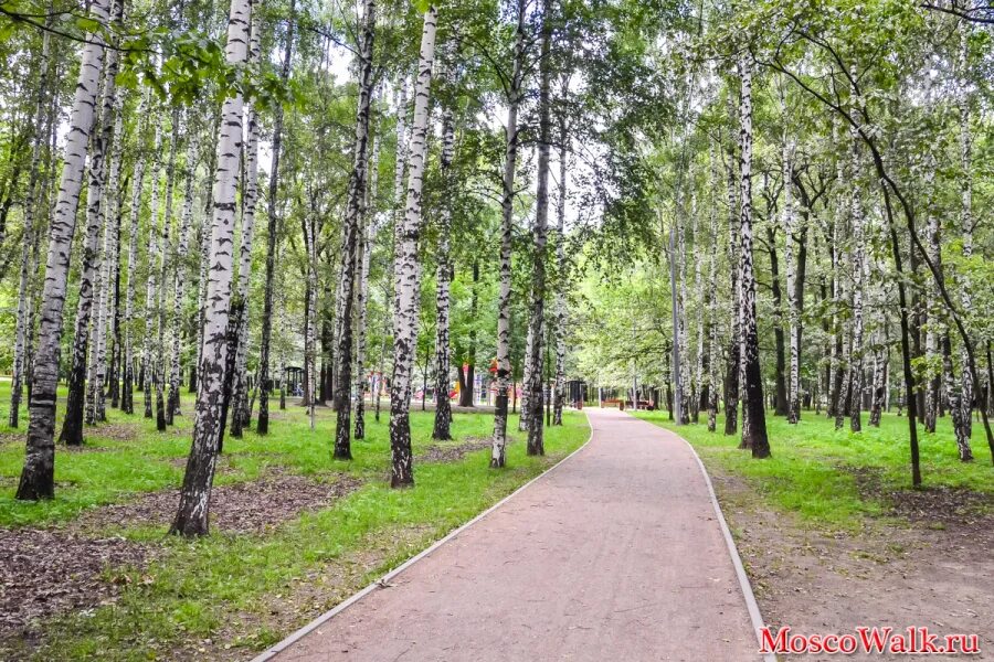 парк северные дубки. парк дубки можайский район. парк “северные дубки” зимой. парк северные дубки. парк северные дубки москва.