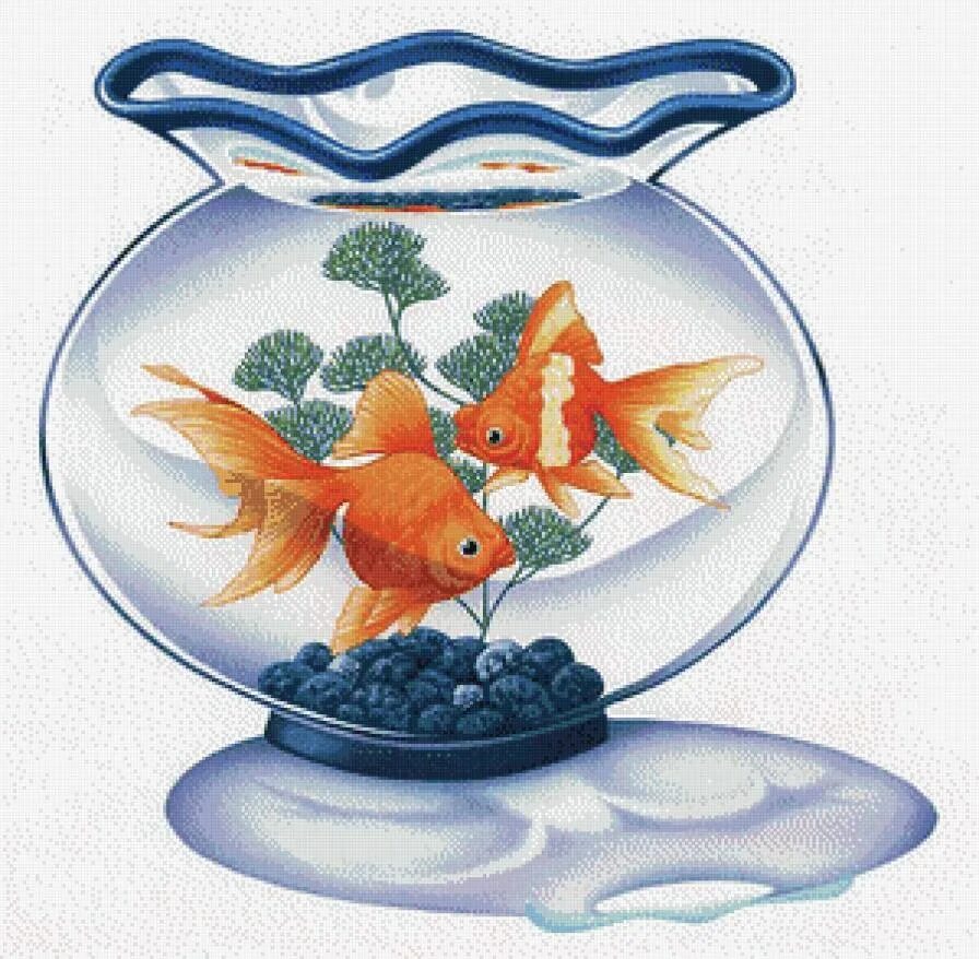Рыбки для аквариума. Золотая рыбка в аквариуме. Аквариум с рыбками для детей. Золотая рыбка в аквариуме для детей.