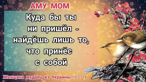 Мудрая книга мом