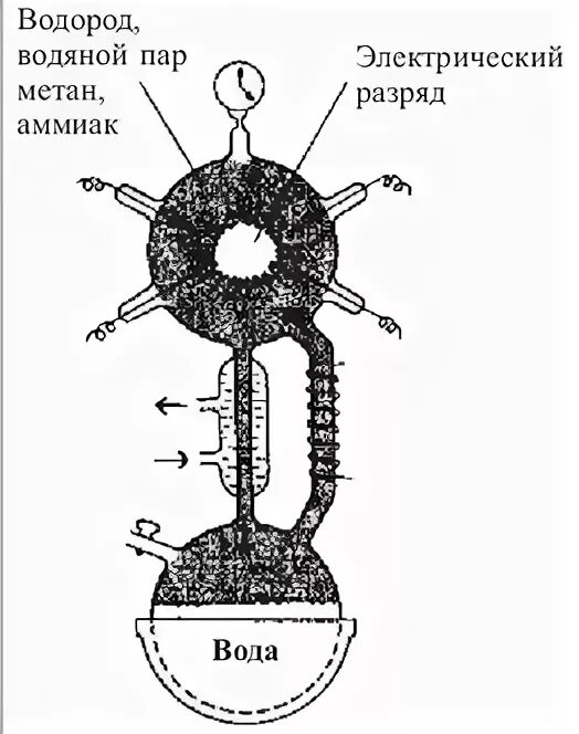 Водородно метановый тест