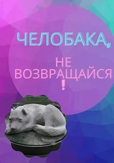 Алекса оникс