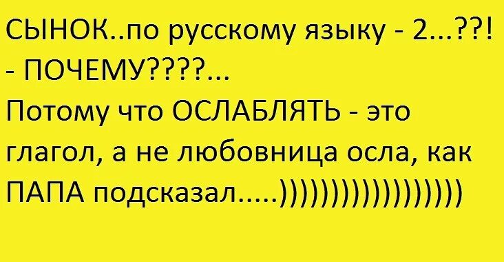 там где прямо не пролезем мы пройдем. там где прямо не пролезем мы пройдем. котик застрял. выживают сильнейшие. там где прямо не пролезем мы пройдем.