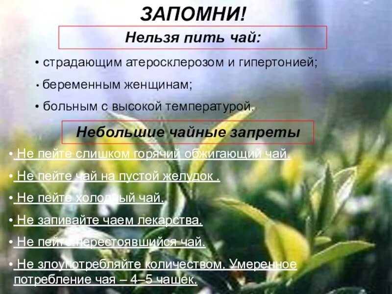 Почему нельзя пить чай. Нельзя пить чай. как нельзя пить чай. чайные запреты.