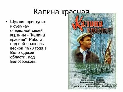 Шукшин калина красная краткое