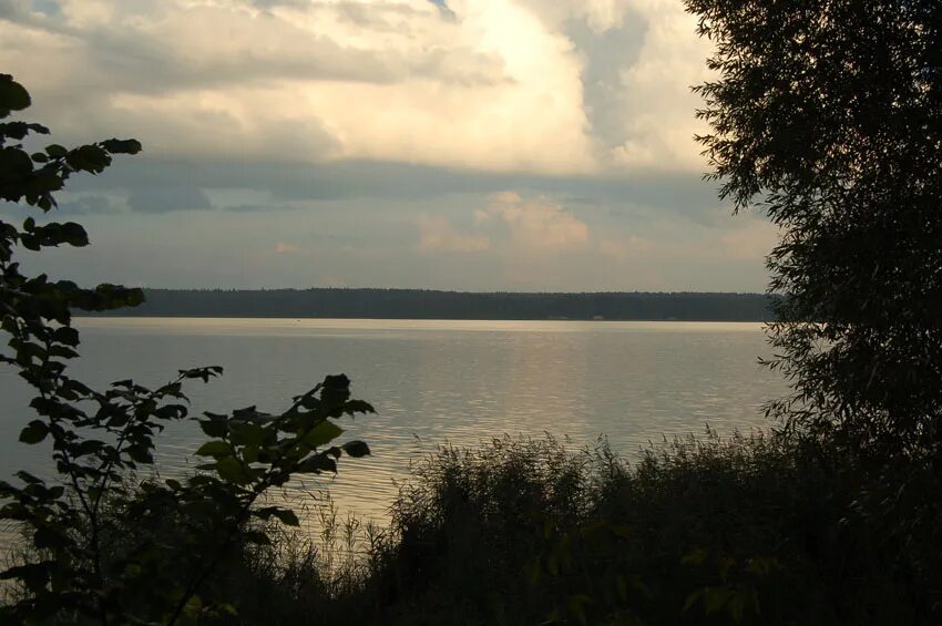 ламишино рыбалка истринское водохранилище. истринское водохранилище водохранилище. в нижнем тагиле истринское водохранилище. истринское водохранилище форум. истринское водохранилище отдых.