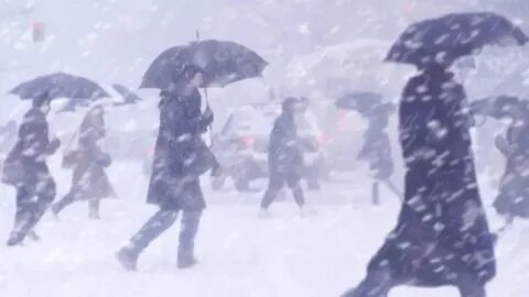 Метель порывы ветра