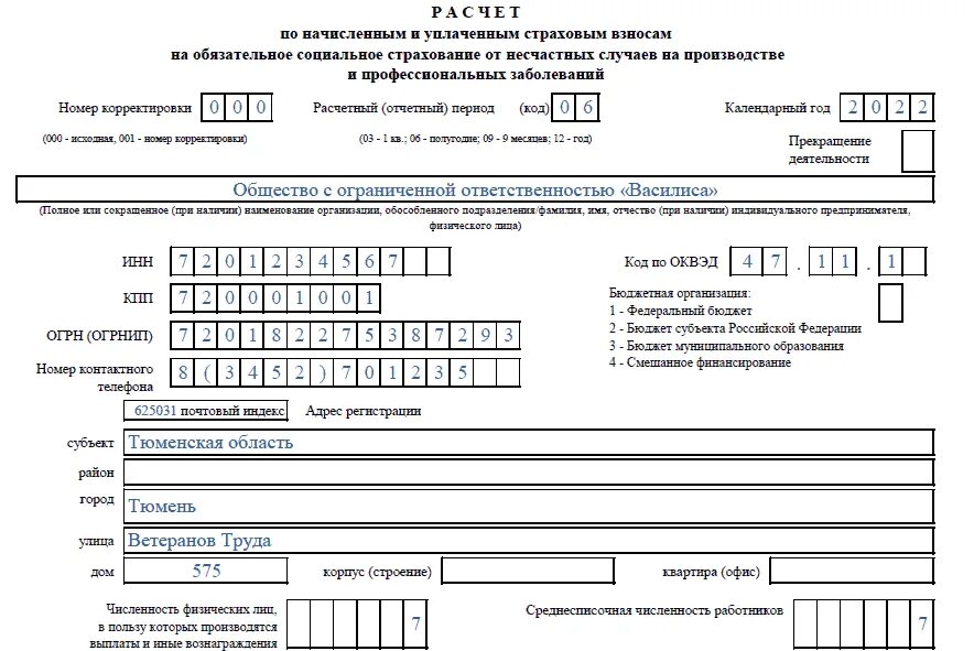 4 фсс в 2024. ФСС форма 4-ФСС 2022. 4 ФСС новая форма 2022. 4-ФСС за 4 квартал 2022 год форма. 4фсс 2022 форма.