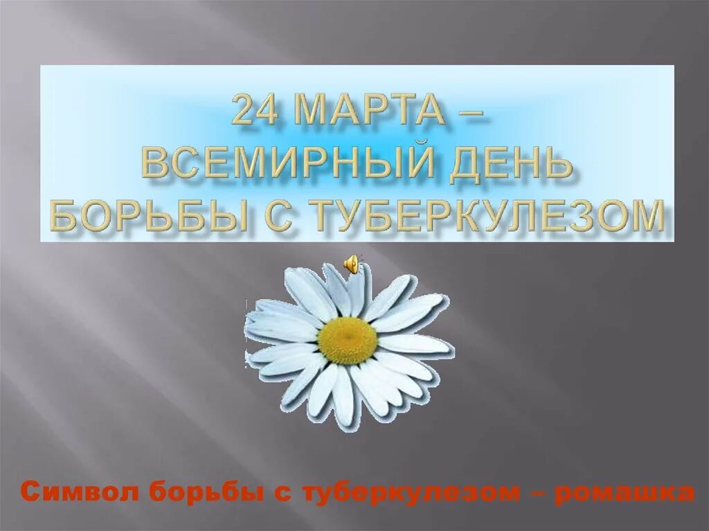 Ромашка против туберкулеза. Борьба с туберкулезом. Рисунок в детский сад на тему день борьбы с туберкулезом. Символ борьбы с туберкулезом. Всемирный день туберкулёза ромашки.