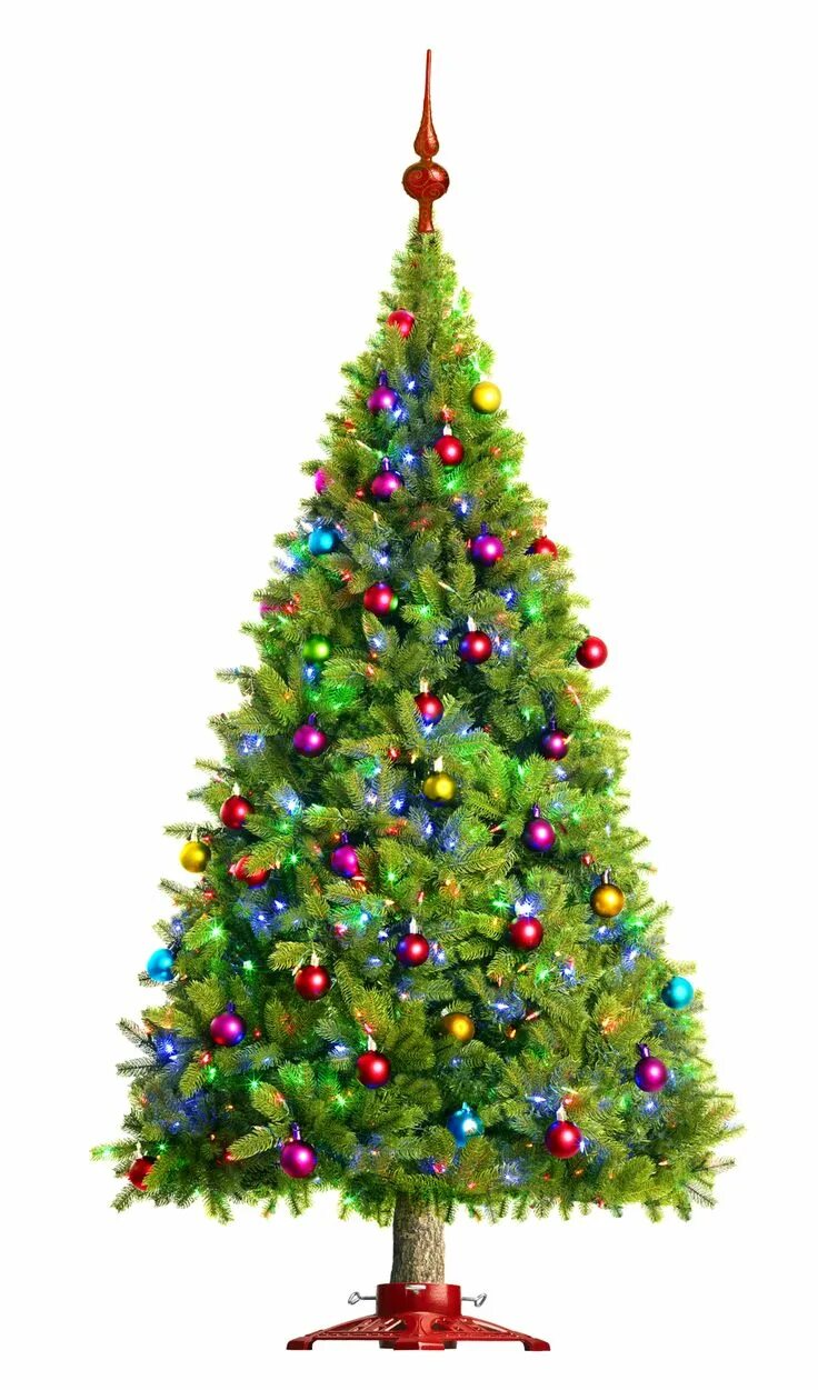 Mas tree