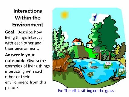 Interaction environment