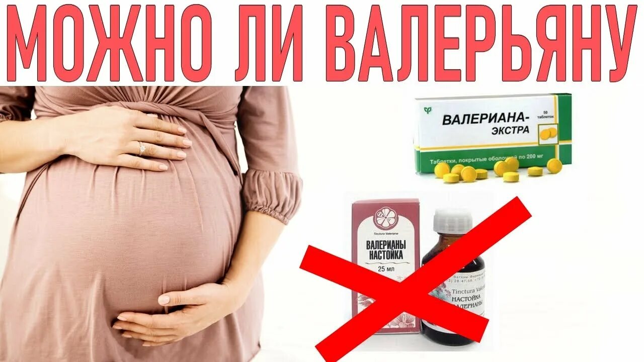 Валерьянка в таблетках для беременных. Валериана для беременных можно ли. Валерьянка при беременности 3 триместр. Валерьянка для беременной женщины.