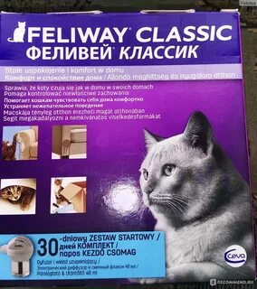 Феливей классик отзывы