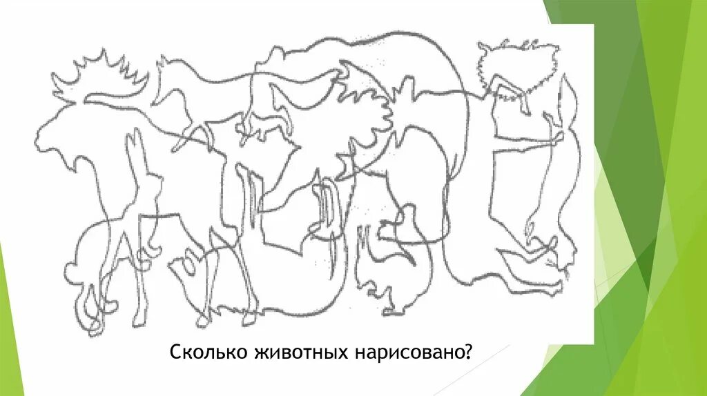 Сколько живетный на картинке. Сколько животных на картинке. Сколько животных на рисунке. Сколько животных вы видите.