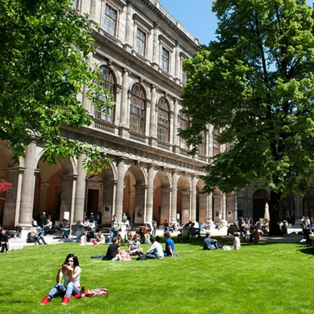 4 year university