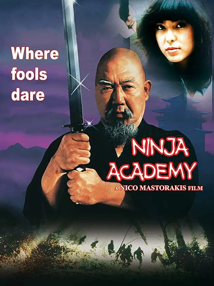 Ниндзя бандит. Ниндзя академия колпино. Ninja academy. Нико масторакис. Ninja academy.
