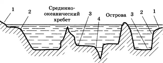 Схема строения мирового океана. Рельеф дна мирового океана схема. переходная зона рельефа дна мирового океана. схема рельефа океанического дна.