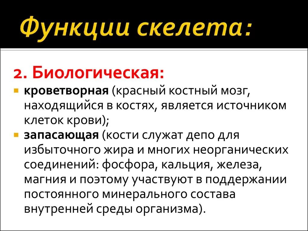 В чем заключается биология человека. Биологические функции скелета. Кроветворная функция скелета. Функция кроветворения скелета. Кроветворная функция костей.