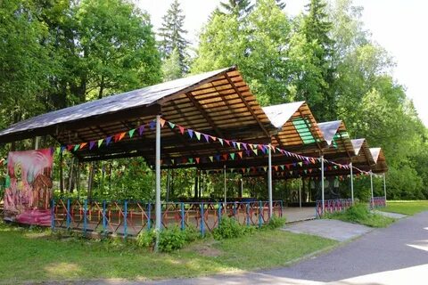 Сайт лагеря петрушка