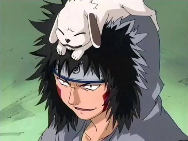 Киба наруто. Наруто киба и акамару. Наруто киба и акамару. Il kiba. Киба инузука.