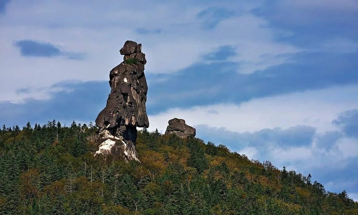 Купить линзы недорого варианты доставки и самовывоза Хабаровский край, г Хабаров