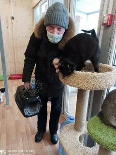 Приют зеленоград
