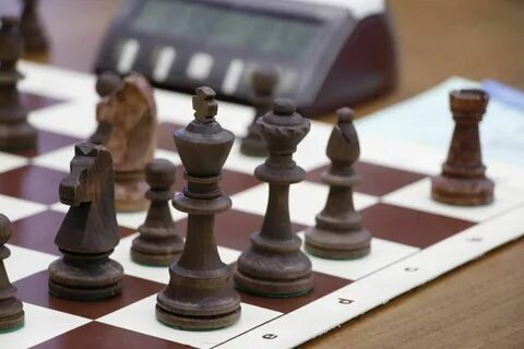 Программа развития шахмат