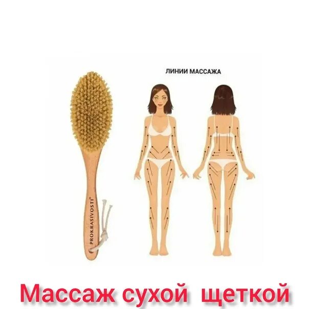 Щеточкой массаж. Схема массажа сухой щеткой от целлюлита. массаж щеткой от целлюлита схема. схема антицеллюлитного массажа сухой щеткой. дренажная щётка для сухого массажа esthetic house.