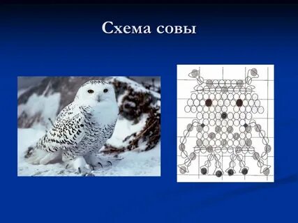 Белая сова схема