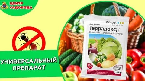 Центр садовник