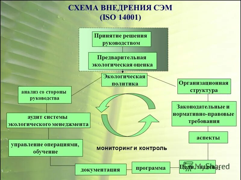 Управление экологическими аспектами. Система экологического менеджмента ISO 14001. Экологический менеджмент схема. Структура экологического менеджмента. Система экологического менеджмента схема.