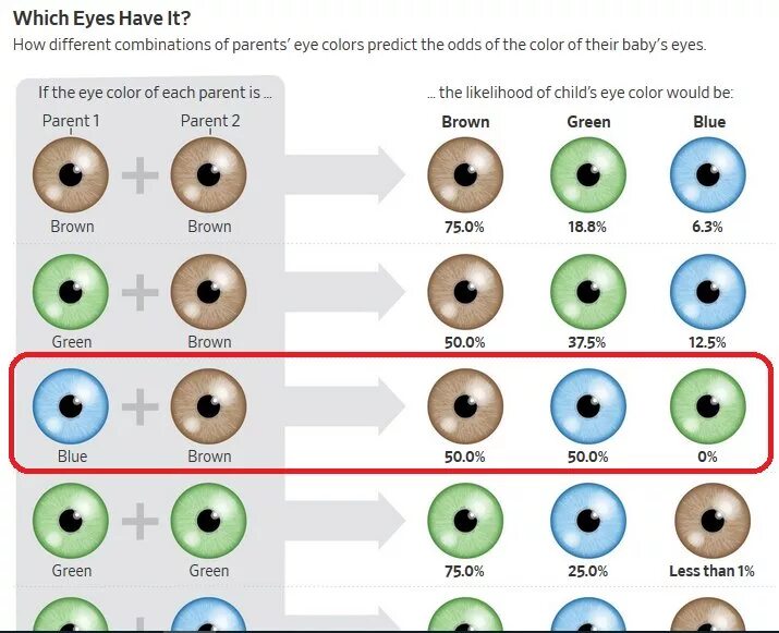 Таблица определения цвета глаз у ребенка от родителей. У родителей карие глаза а у ребенка голубые таблица. Смешение цвета глаз. Цвет глаз будущего ребенка таблица.