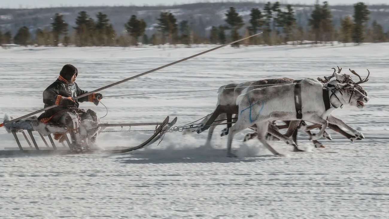 шест нарты 5