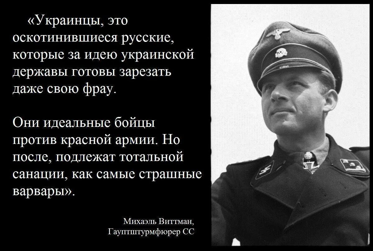 Как быть готовым к войне. Михаэль Виттман об украинцах. Михаэль Виттманн про украинцев. Михаэль Виттман об украинцах первоисточник. Цитаты немецких генералов.