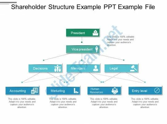 Shareholding structure. Shareholders example. Presentation structure example. Quantas shareholders structure. Shareholder company