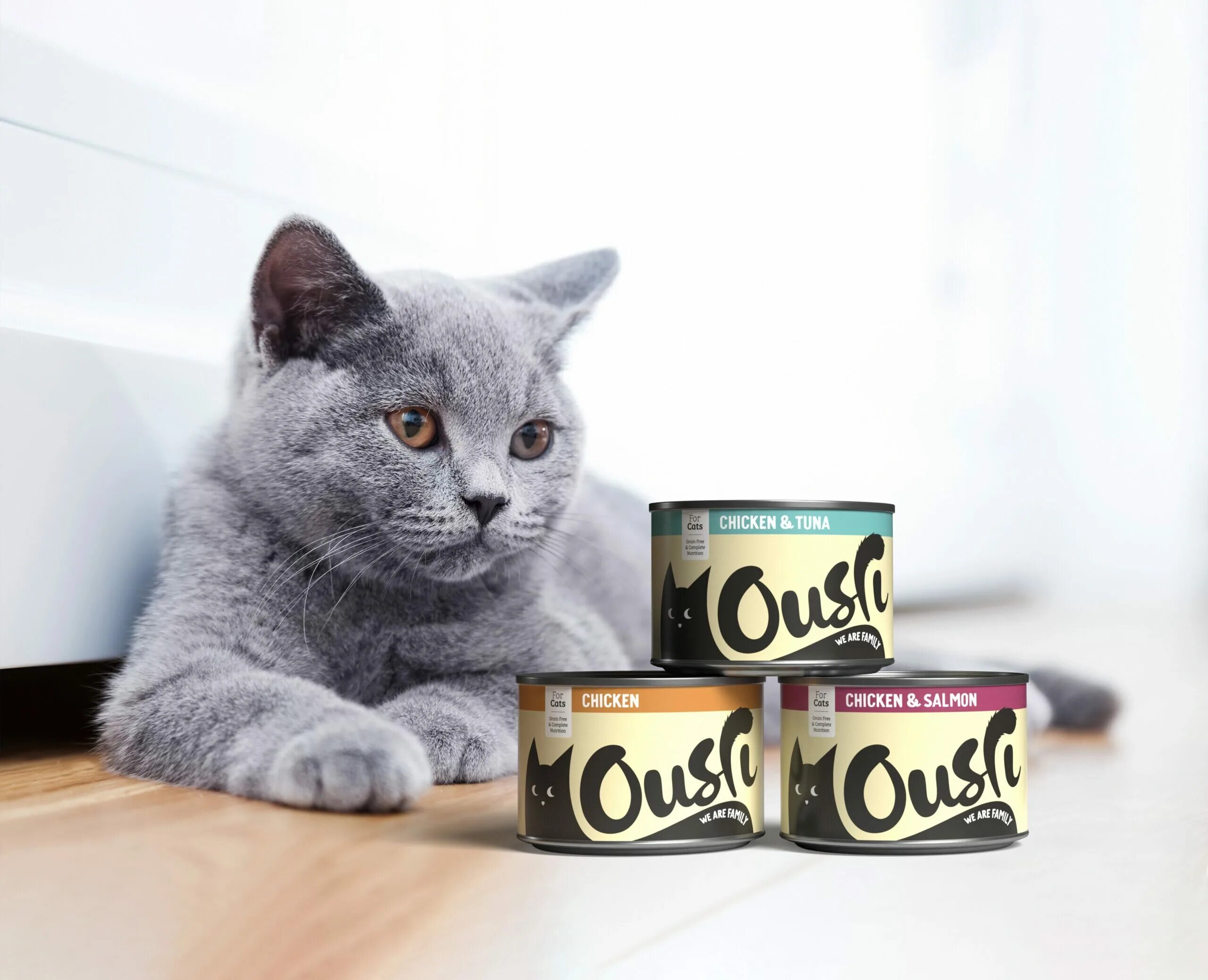 Cat food Design. Влажный корм для кошек jarvi