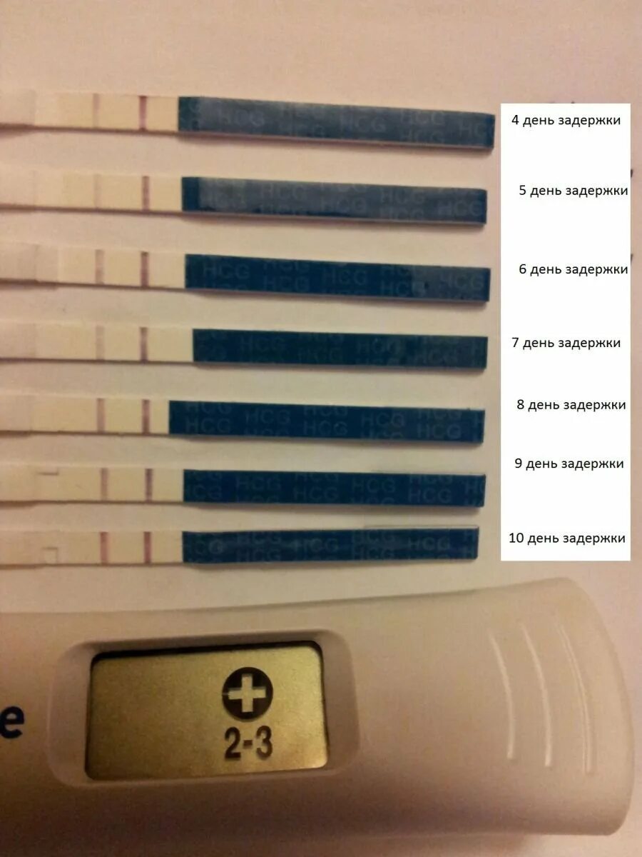 Задержка три теста отрицательные. Тест на беременность 2 дня задержки. Тест на беременность до задержки месячных 3 дня. Тест на беременность 1 день до задержки. Тест на беременность до задержки месячных за 5 дней.