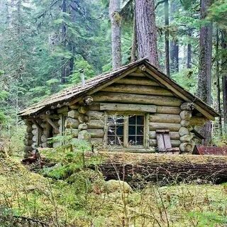 Есть в лесу избушка там