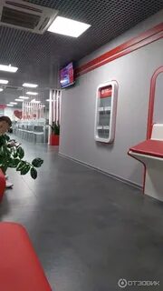 Телефон офиса альфа страхования
