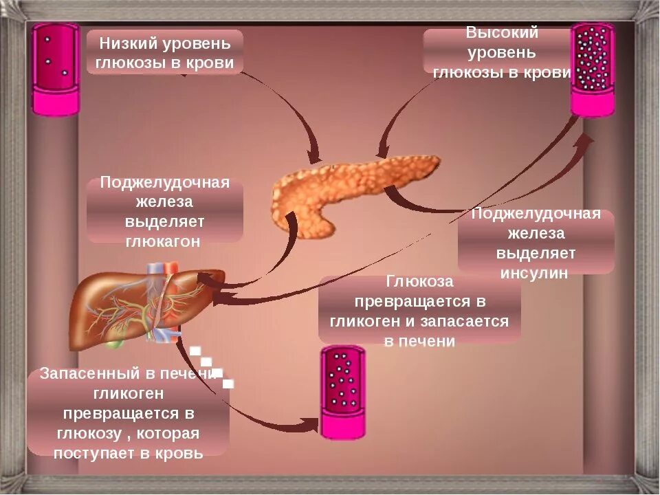 Почему пониженная глюкоза. Низкий уровень сахара. Низкий уровень Глюкозы в крови. Понижение уровня Глюкозы в крови. Пониженный сахар в крови.