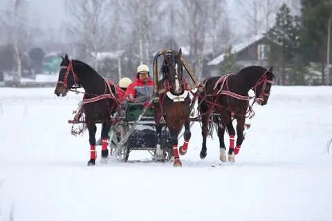 Престижная в русской тройке