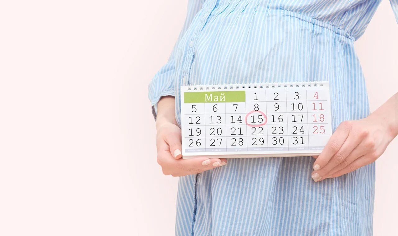 Калькулятор после беременности. Календарь беременным. Калькулятор беременности. Календарь по беременности.