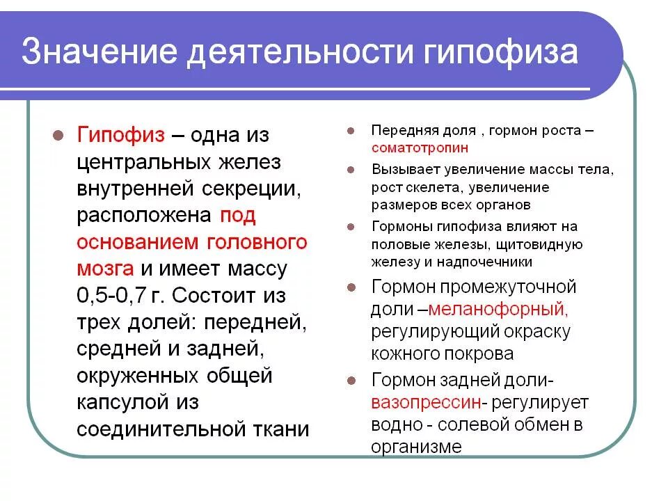 Гипофиз влияет на рост. Значение гипофиза в организме человека. 9. У детей масса гипофиза удваивается:. Гипофиз значение для организма.