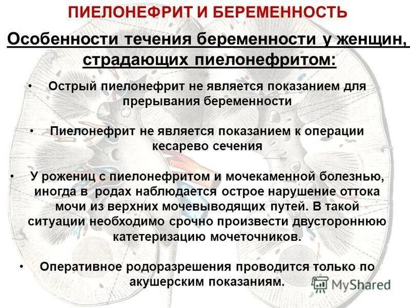 Пиелонефрит у беременных. Что такое пиелонефрит у женщин беременных. острый пиелонефрит при беременности. пиелонефрит беременности симптомы. особенности течения пиелонефрита.