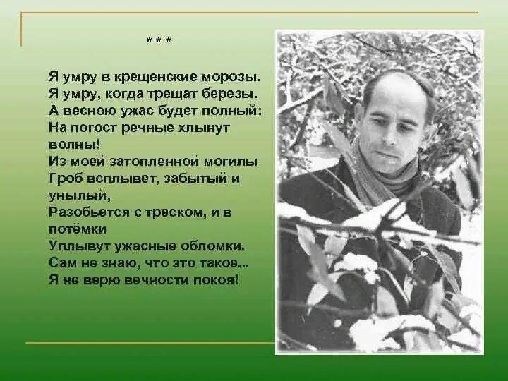 Анализ стихотворения рубцова березы. Крещенские Морозы рубцов. Стихи Рубцова крещенские Морозы.