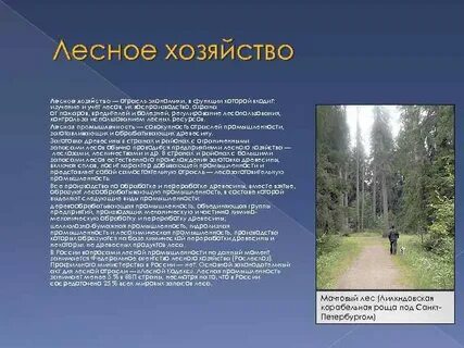 Лесное хозяйство включает
