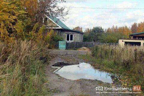Кинешма лесозавод