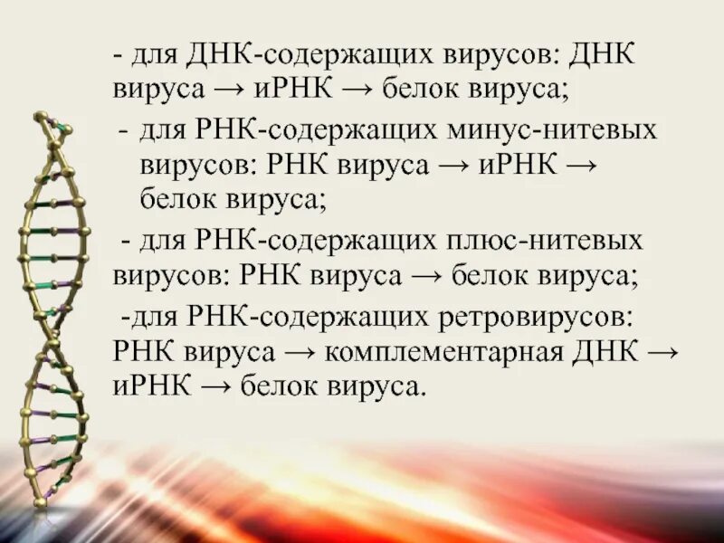 ДНК вирусы. Геном РНК содержащих вирусов. ДНК содержащие вирусы. Вирусы ДНК содержащие и РНК содержащие.