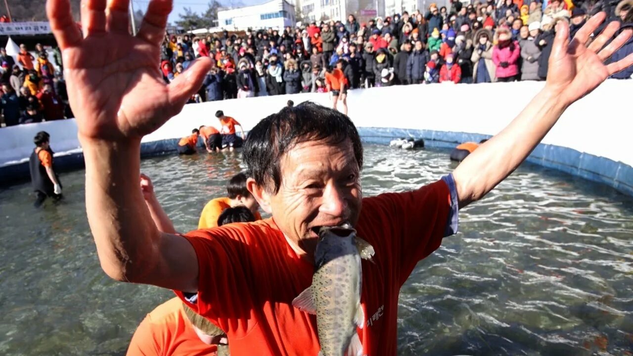 Сон ловить рыбу руками в чистой воде. Mountain trout ice festival. рыба в корее. выловил рыбу руками. ловля рыбы руками.